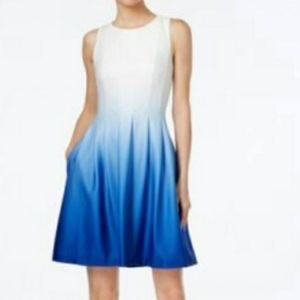 Blue and White Dress ombre FROZEN?